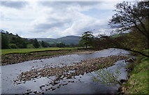SD9998 : River Swale near Feetham Wood by Bill Boaden