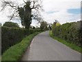 N9950 : Country Road, Co Meath by C O'Flanagan