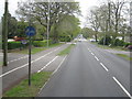 Good size cycleway - Ferndown