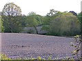 Rolling fields and woodland  from Tatchbury Lane