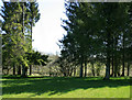 2010 : East from a minor road through Crockerton