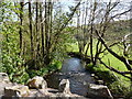 The view downstream from Blackpool Bridge on the River Yeo