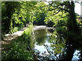 Basingstoke Canal