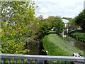 The view upstream from Raleigh Meadow bridge on the River Yeo