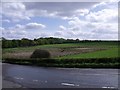 Marshy corner of field at West Board