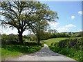 Down the lane from Sweeney Mountain