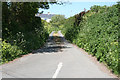 Noss Mayo: lane to Rowden Court