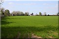 Manor House Farm near Chalgrove