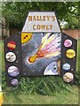 SK2632 : Halley's Comet at Etwall Well Dressing 2010 by John M