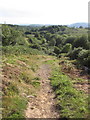 Ridgeway Walk, Looking West