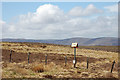 NT3530 : Pipeline marker 310 on Peatshank Head by Jim Barton