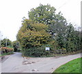 Fork in the road, Candwr Road