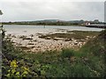 Banks of the River Adur