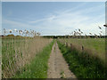 Footpath at Formby