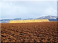 Ploughed field, Drumkilbo