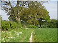 Footpath to Marsh Green Road