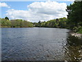 Looking down the River Ness  from Holm Mills