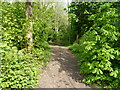 Footpath and bridleway in Lloyds