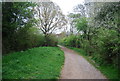 Footpath, Chesworth Farm