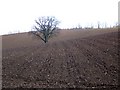 Ploughed fields near Stormontfield