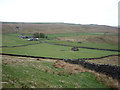 The pastures of Carpley Green