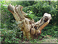 Dead tree, Warren Road (2)