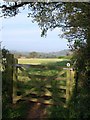 Gate near Churchill Oak