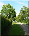 Narrow lane near The Waltham Lodge