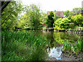 Westley pond viewed from Old Church Lane