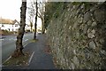 Wall alongside Upland Road, Selly Park