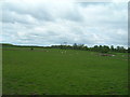 Grazing land near Holme Farm