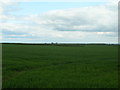 Farmland near Grange Farm