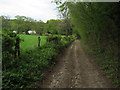 Clarendon Way near Little Buckholt Farm