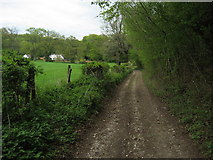 SU2632 : Clarendon Way near Little Buckholt Farm by Chris Heaton