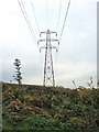 Pylon adjacent to Pentopyn Road