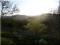 Evening over Craig-y-Rhiw