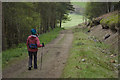 Track through forestry plantation above Baysdale Abbey