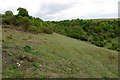 Hogtrough Bottom - grazed access downland