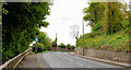 The Comber Road, Killyleagh