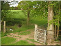 Footbridge near Cackets Wood