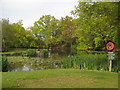 Four Elms Village Pond