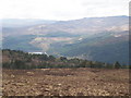 NH3815 : Glen Moriston from above Coille na Feinne by Sarah McGuire