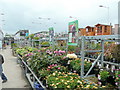 Plantarea, B&Q Gloucester