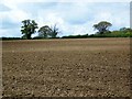 Ploughed field near Kingston