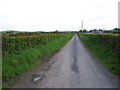 The Ballydoonan Road near Carrowdore