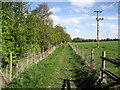 Footpath beside Wallop Brook