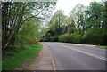 A281: north into Monk