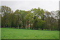 A line of trees south of Manning