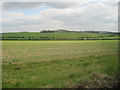 SU2351 : Farmland north of Tidworth by John Firth