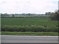 Fields near Chewton Mendip